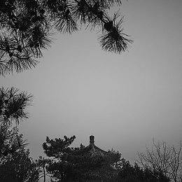 《公路警察模拟器》年内登陆多平台 开放世界警察日常